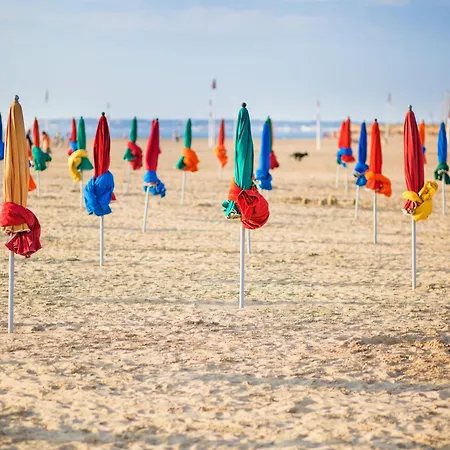 Les Roches Noires - Terrasse Vue