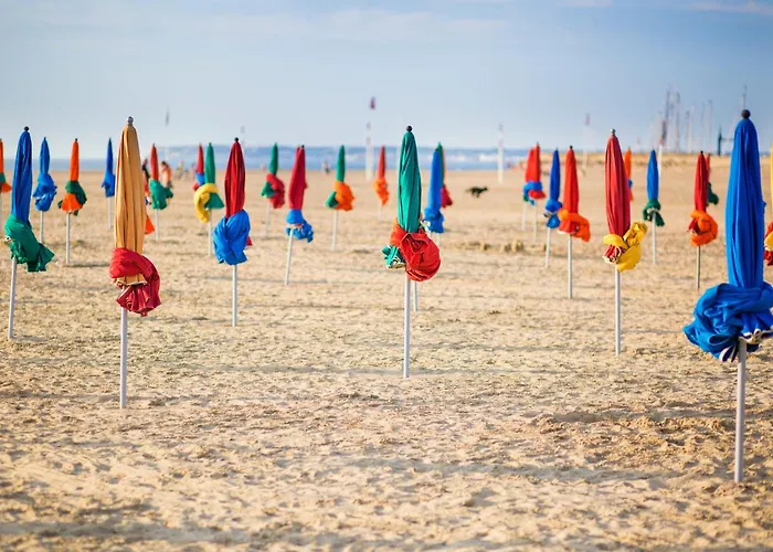 Les Roches Noires - Terrasse Vue